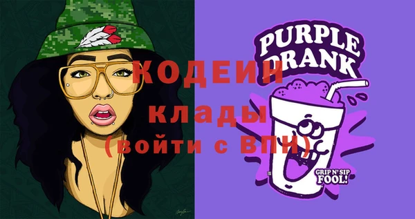 сатива Ельня