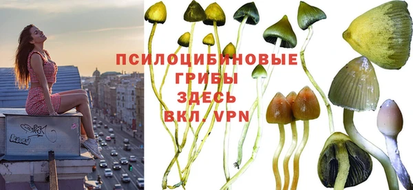 СК Заводоуковск