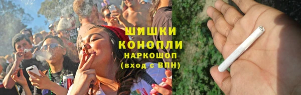 сатива Ельня