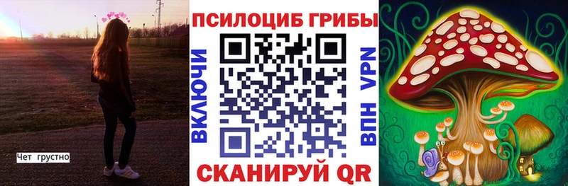 Галлюциногенные грибы MAGIC MUSHROOMS  кракен ссылки  Заречный 