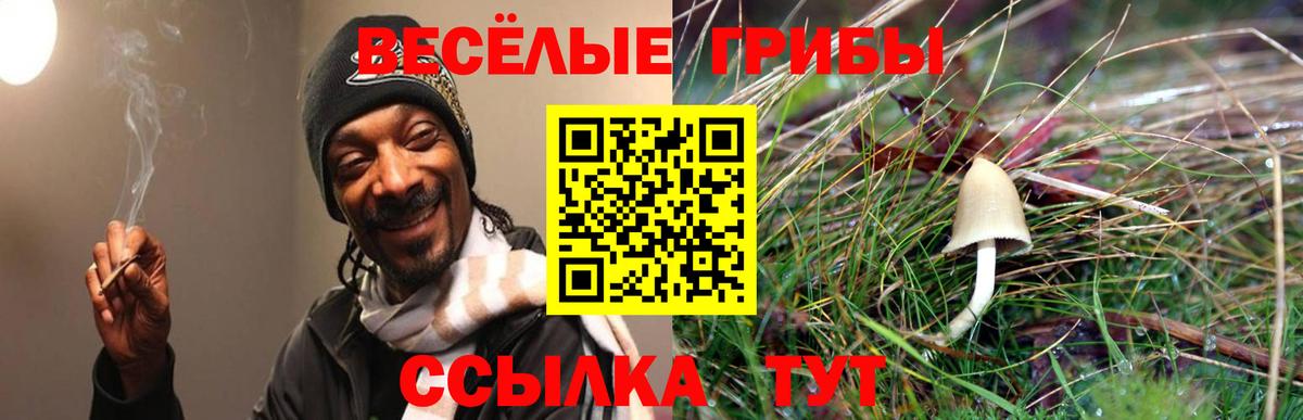 Галлюциногенные грибы Cubensis  Вход с VPN  Заречный  Галлюциногенные грибы мухоморы 