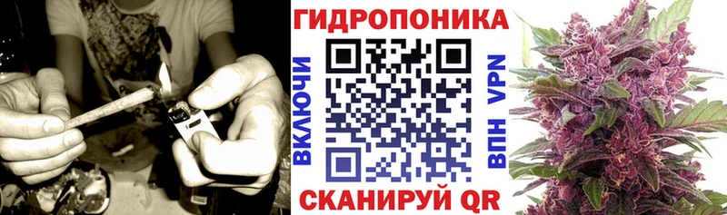 Конопля индика Заречный