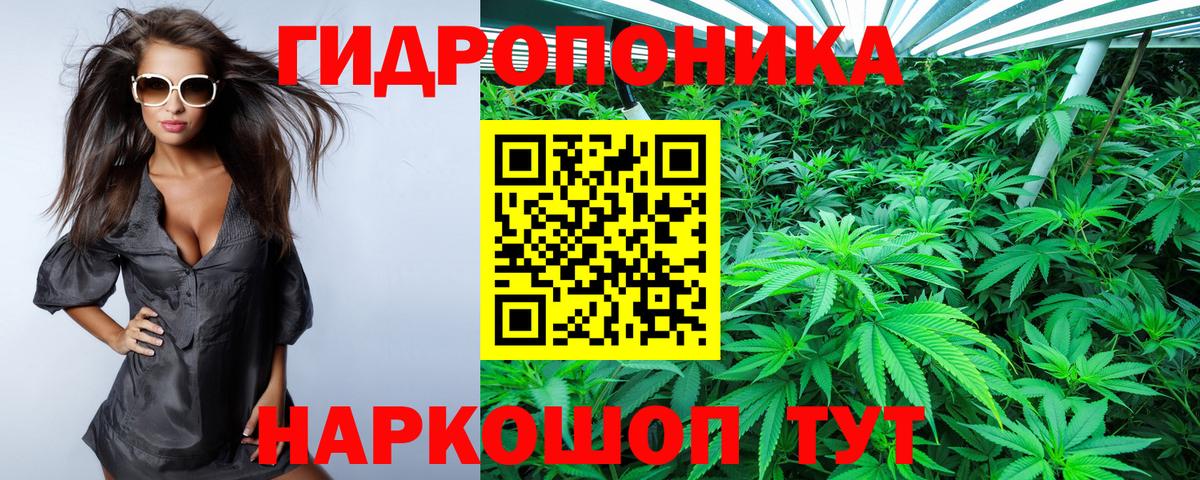 Бошки Шишки план Заречный